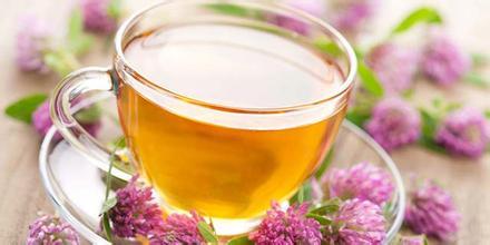 夏季感冒不停歇 你需要这些茶饮