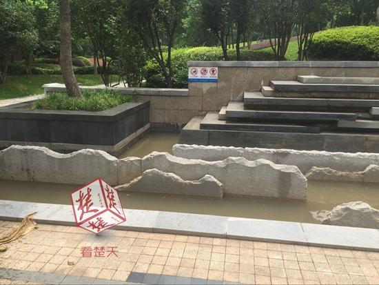 奶奶把婴儿泡在景观池脏水里玩 网友:亲妈要哭了