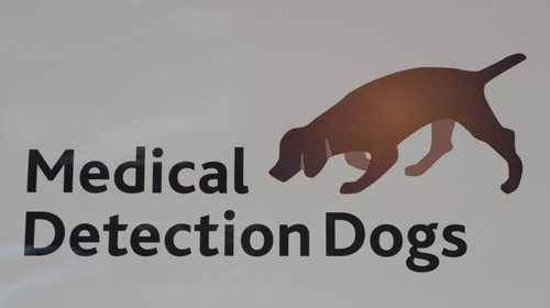 黛西的主人克莱尔-盖斯特博士是“医疗侦测犬”（Medical Detection Dogs）组织的主管，该组织是进行犬类助诊疾病研究的慈善团体，其研究具有十分宝贵的医学价值。