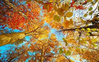 立秋之后这样吃 让你秋天不得??！