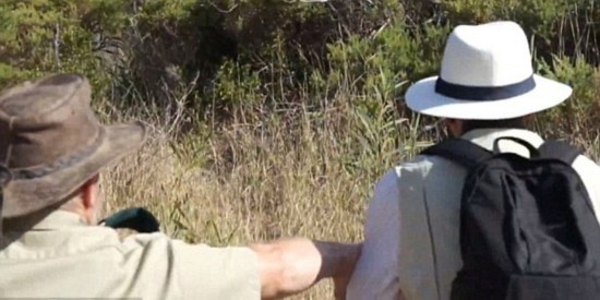 盘点今年上头条的奇葩游客