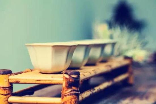 瓷器，会是让你爱上美学的“磁”器