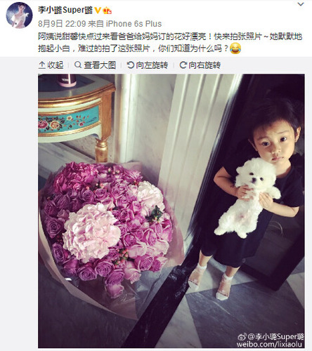 贾乃亮送李小璐大束鲜花甜馨抱狗在旁边难过