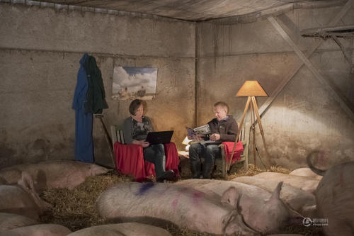 农民家庭在猪圈与熟睡的猪拍摄合影。