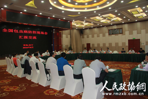 包虫病动物源头防控取得初步成效2_副本1