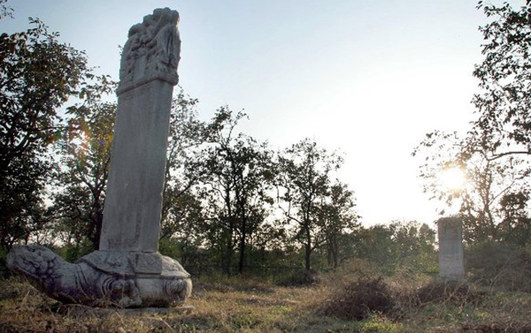 QQ图片20160824102618