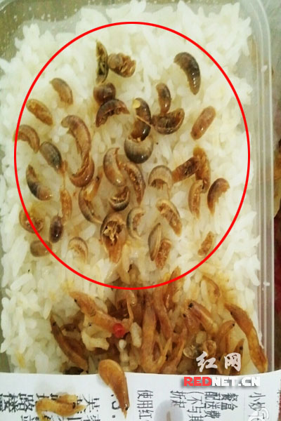 网友李小姐买的小炒干河虾。