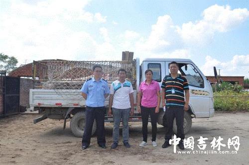 3名男子疯狂偷猪换赌资 警方成功追回132头猪