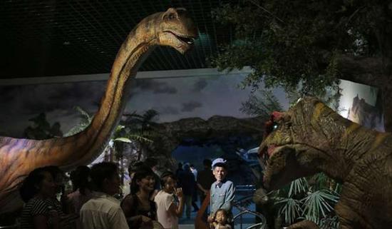 朝鲜平壤动物园里啥模样？“狗屋”是最热门景点