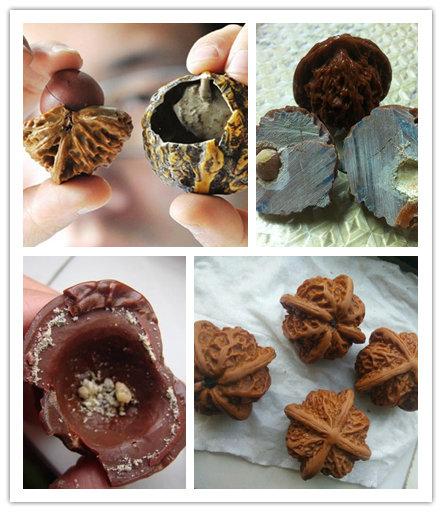 正值核桃成熟的季节，地摊上有不少卖文玩核桃的，小潘这几天就听闻有网友被骗，摊主自称河北涞源的妇女，以马上开学要回家陪孩子为由，将核桃以20元/对的价格处理，当网友买回家刷出来一看，才发现上当受骗，竟是塑料制成的。