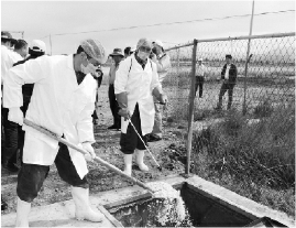     防疫人员对病畜内脏进行无害化处理。