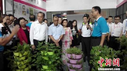 图为台湾精致农业技术展区。康孝娟 摄