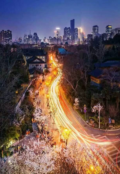 QQ图片20160901165149