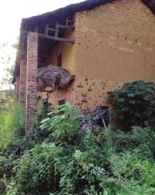 “5岁男童深夜失踪”续：22岁嫌疑人称只为“好玩”