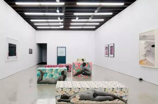 “抗体”，Lisa Cooley画廊