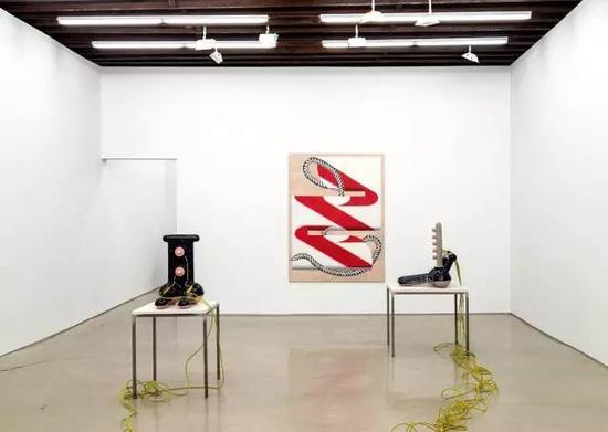 Zachary Leener 和Anne Neukamp, Lisa Cooley画廊，2015