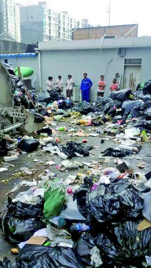 小区隔壁垃圾站 居民被熏5年