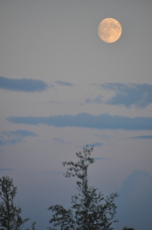 9月15日是中秋节，这是在黑龙江省北安市建设农场拍摄的月亮。