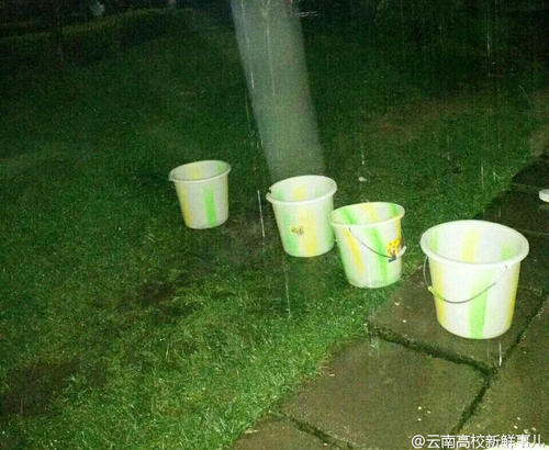 图为学生拿桶接雨水。