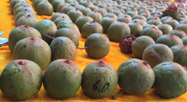 四座楼狮子头青皮相对王勇官帽青皮的外皮要略厚一些。63尺寸的四座楼青皮，开出47左右的尺寸比较常见，而61尺寸的王勇官帽青皮，开出48左右的尺寸比较常见。赌核桃的人最想要的就是配对完好、尺寸更大的，这样的就算是“赌着了”、“赌正了”。