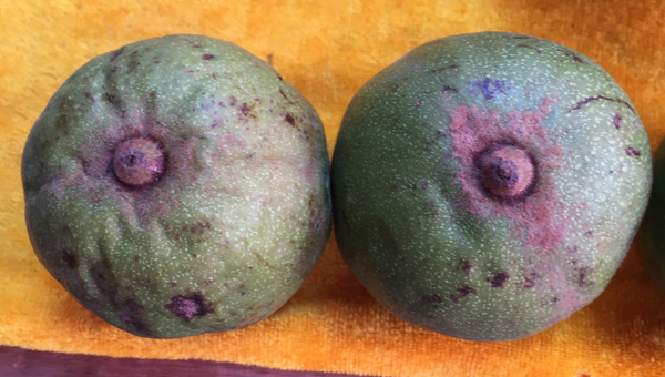 赌青皮核桃的时候该怎么挑？