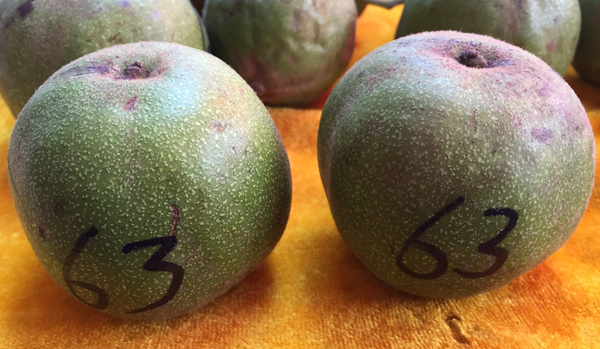 赌青皮核桃的时候该怎么挑？