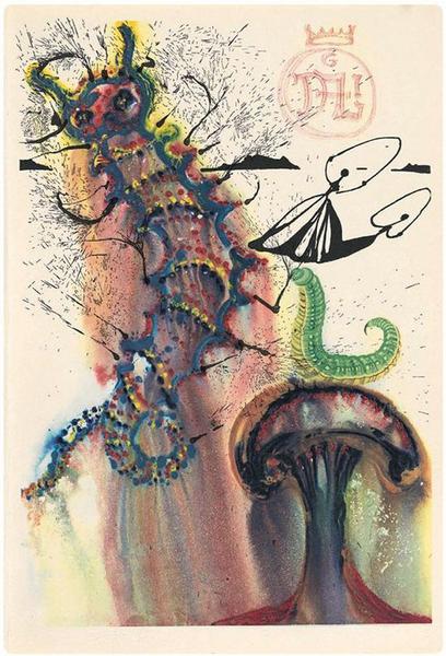 来自毛毛虫的建议