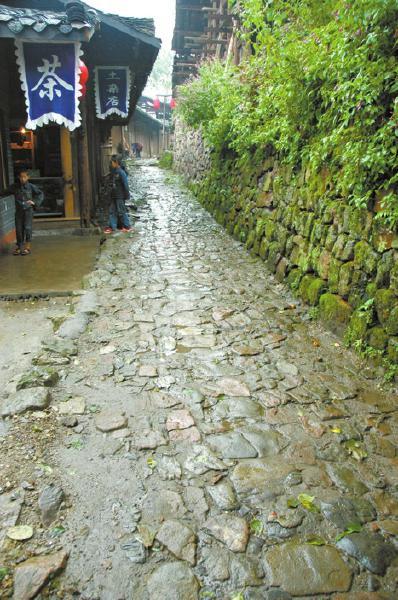 贾和普对现存于雅安的南丝绸之路也深感兴趣。