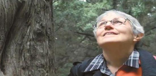 纪录片《蜀道使者》截屏图。