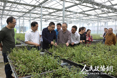 四川达州市政协专题视察外来投资企业发展情况