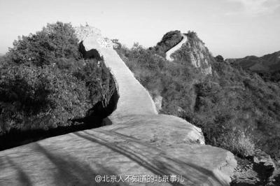 “最美野长城”被抹平。资料图片