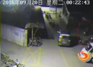 男子好赌被妻子乱棍打死2