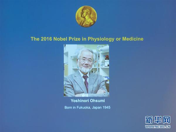 10月3日，在瑞典斯德哥尔摩，获得2016年诺贝尔生理学或医学奖的日本科学家大隅良典的肖像在新闻发布会上展示。瑞典卡罗琳医学院3日宣布，日本科学家大隅良典获得2016年诺贝尔生理学或医学奖，以表彰他在细胞自噬机制研究中取得的成就。新华社发（石天晟摄）