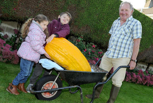 需要动用手推车才能装走的西葫芦。据说，这些超级蔬果的成长只需要四到六个星期，“它们每个小时都在变大”。