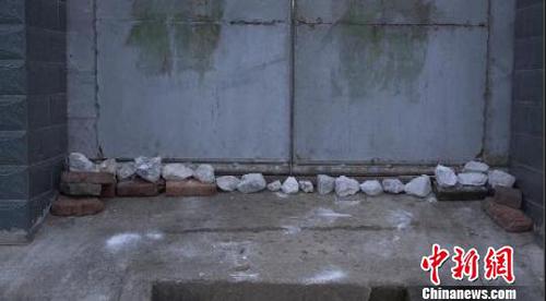 南京眼镜蛇幼蛇逃逸曝光40小时，当地居民家家户户石灰封门窗?！±铉?摄