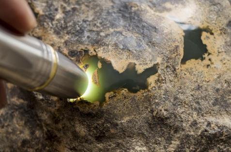 在众筹公告发布的当天，这块众筹金额为220万元的析木玉原料就被认购一空