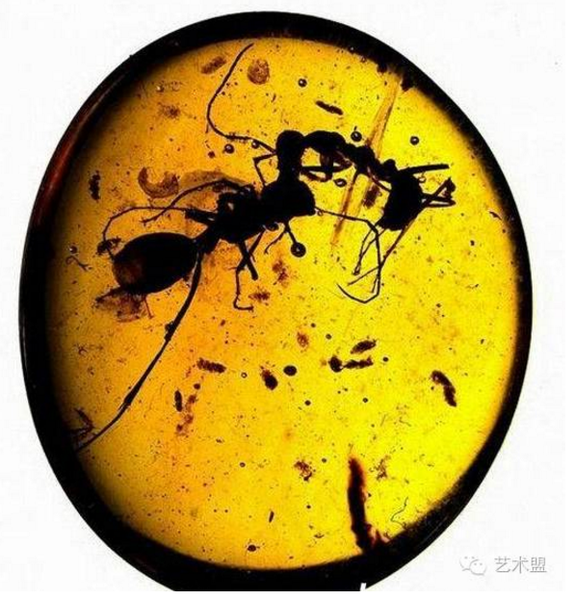 QQ图片20161013171053