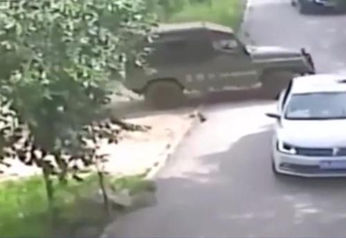 八达岭老虎袭人伤者：我们要得是公道和澄清事实