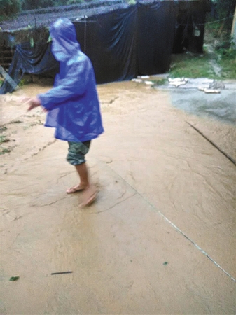 周炳耀留下的最后一张照片。9月15日，他刚刚清理完一处菇棚，被村民无意间抓拍。几分钟后，周炳耀不幸落水殉职。张华忠 摄