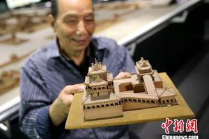 图为王泰来展示自己的作品?！≌旁?摄