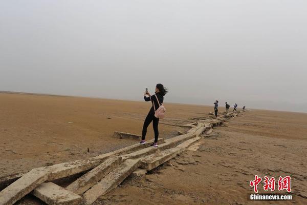 cd86f9abd86d4d4f8b6967bbc4bc3ada