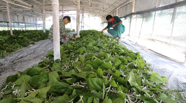 QQ截图20161024163702