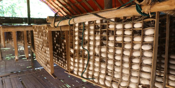 QQ截图20161024163724