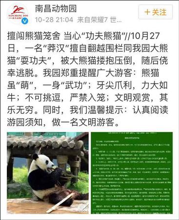 南昌动物园补充道，该男子逃离后未向园方反映情况，动物园检查之后确认美灵没有受伤或受到惊吓。