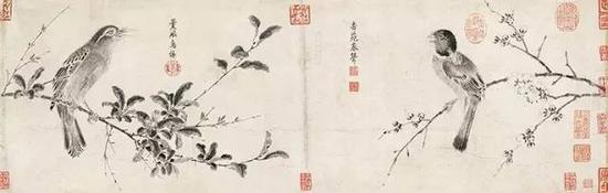 【北宋】 赵佶 写生珍禽图卷 （局部）