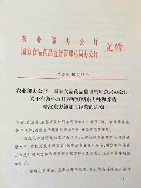 你敢吃吗？首批养殖河豚预计11月底拥有市场流通资质