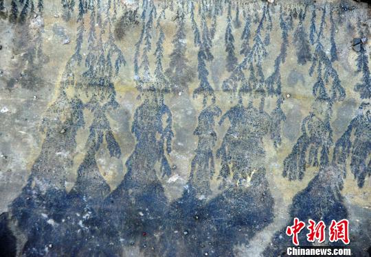 图为酉阳发现疑似天然“岩画”?！〕卤躺?摄