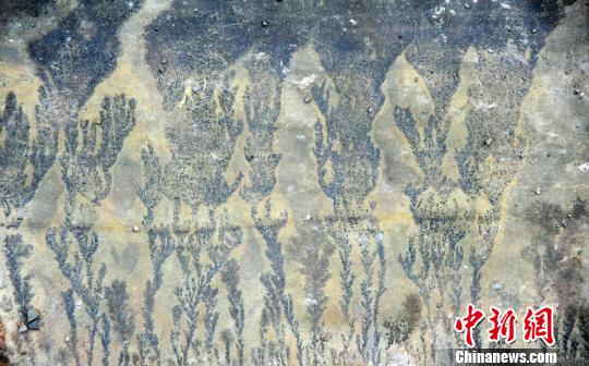 图为酉阳发现疑似天然“岩画”?！〕卤躺?摄-1