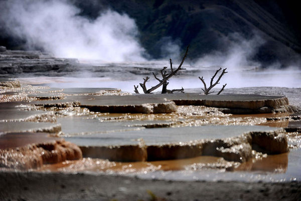 男子公园泡温泉被溶解2
