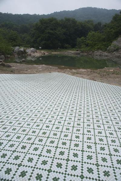 王卫，山中自然史四，地面马赛克，2016